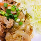 市販の青椒肉絲の素で肉野菜炒め